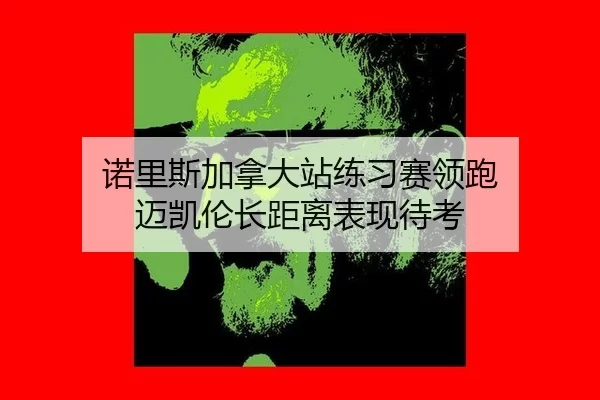 诺里斯加拿大站练习赛领跑 迈凯伦长距离表现待考