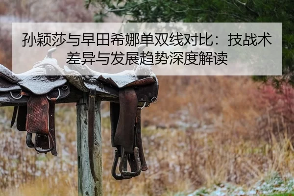 孙颖莎与早田希娜单双线对比：技战术差异与发展趋势深度解读
